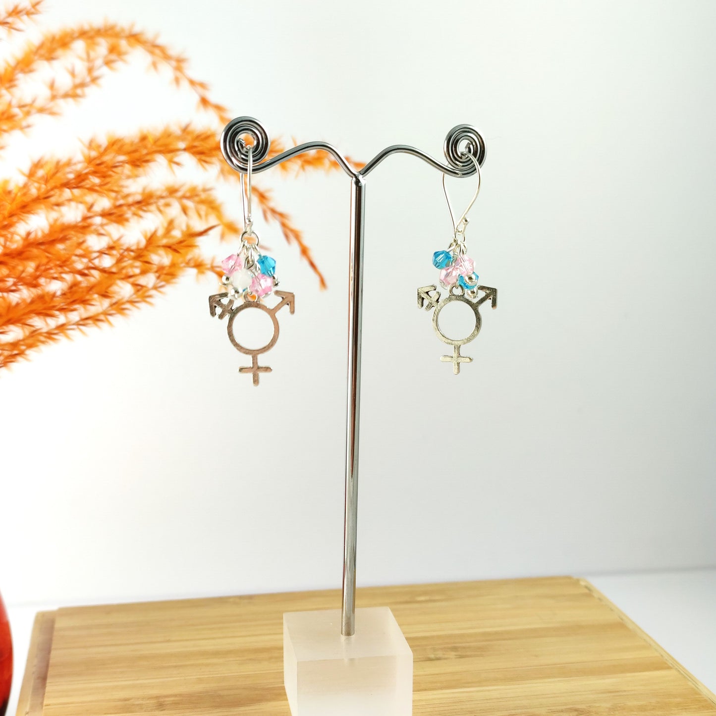 Trans Pride Earrings