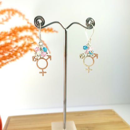 Trans Pride Earrings