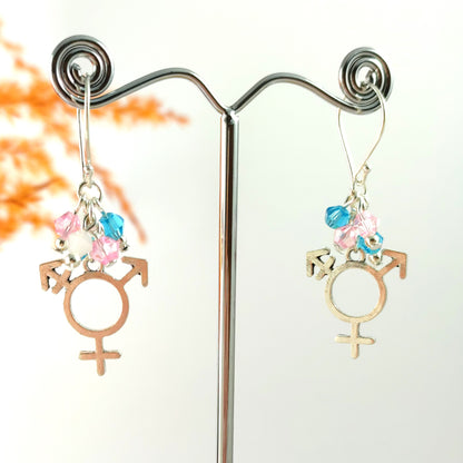 Trans Pride Earrings