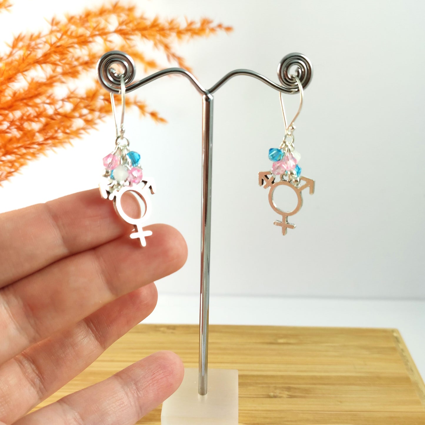 Trans Pride Earrings